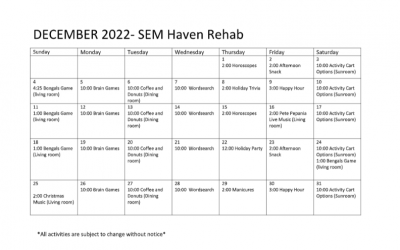 Rehab December 2022