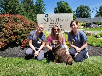 Memory Care Pet, Walter the Lab