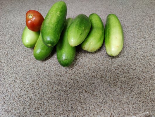 Early Harvest